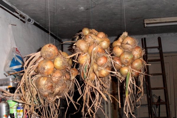 Кракен дарк сайт