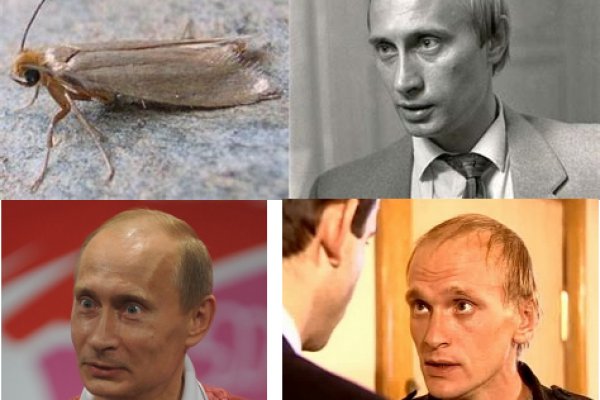 Кракен черный сайт