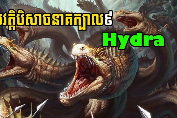 Как вывести деньги с кракена тор