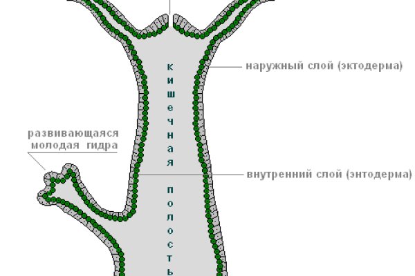 Ссылки для tor